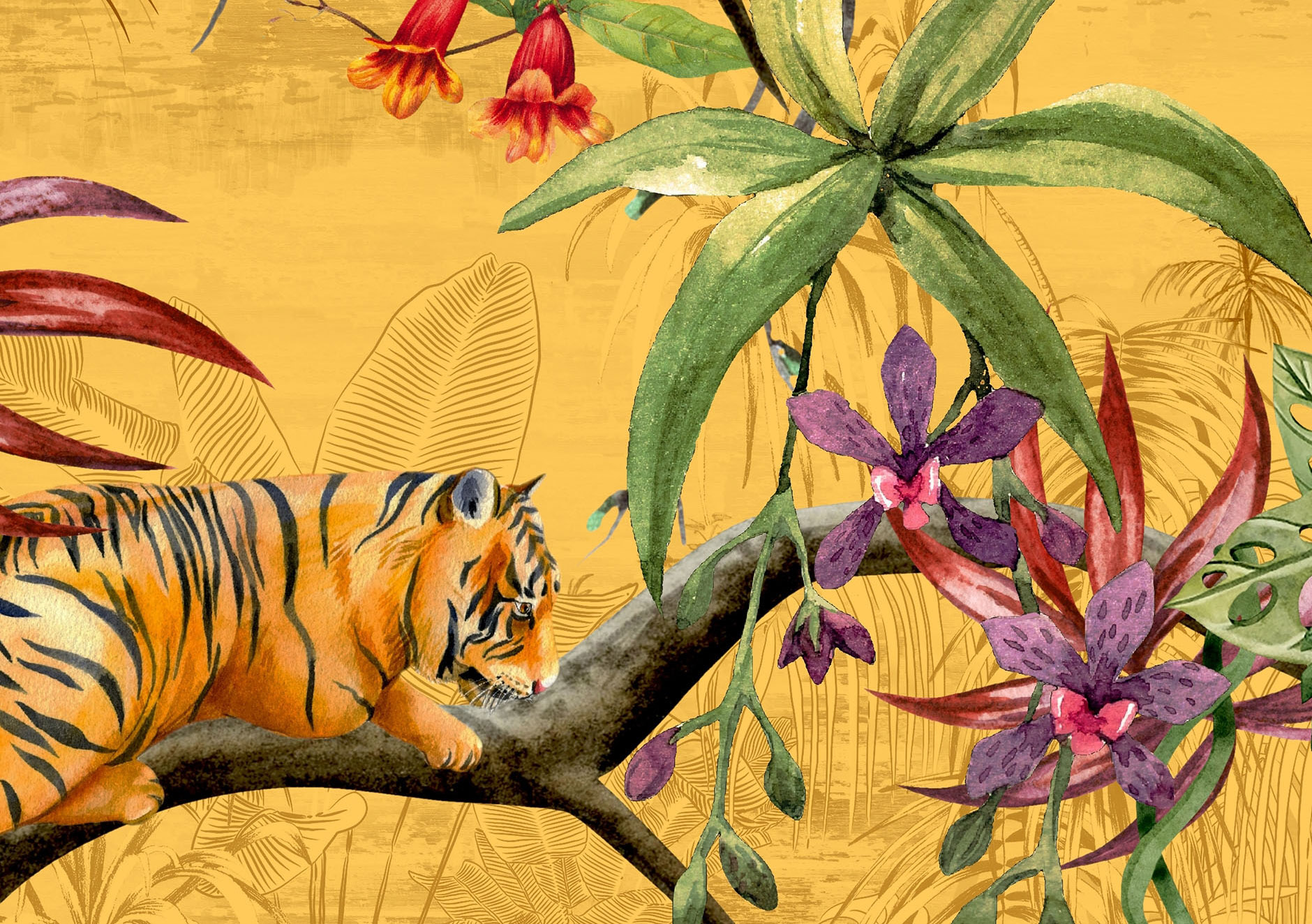 13435-Panthera_Muraspec-Web